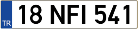Trailer License Plate